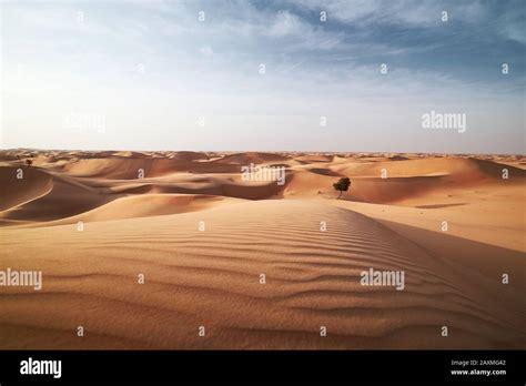 Sand Dunes In Desert Landscape Abu Dhabi United Arab Emirates Stock