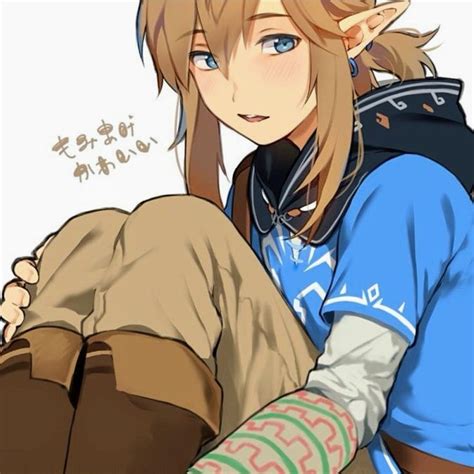 Breath Of The Wild Link Cute Legend Of Zelda Legend Of Zelda Memes