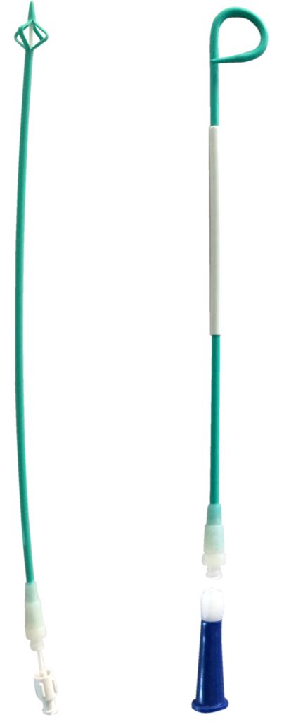 Pigtailmalecote Drainage Catheter Meditech Devices