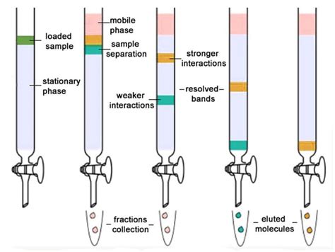 14 Types Of Chromatography Definition Principle Steps Uses