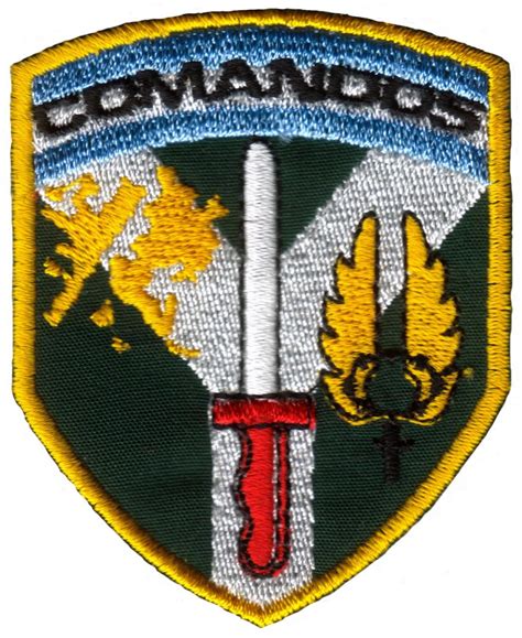 Parches De Las Fuerzas Armadas Argentinas Compañía De Comandos 601 Y