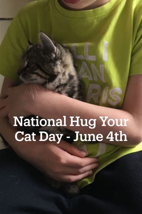 National Hug Your Cat Day June 4th Hug Your Cat Day Cat Day Cat Kids