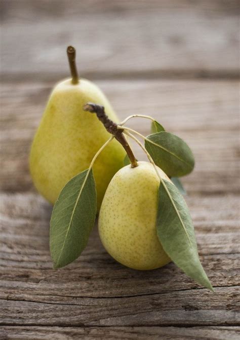 Alguns importantes benefícios da pera para a saúde são: Pera🍐 | Frutas, Frutas y vegetales, Pintura de fruta