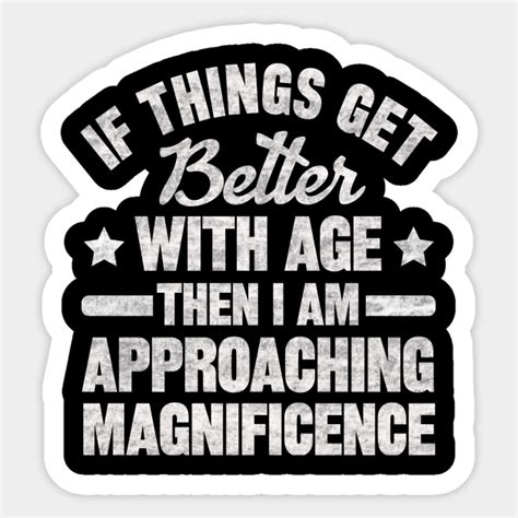 If Things Get Better With Age Then I Am Approaching Magnificence If