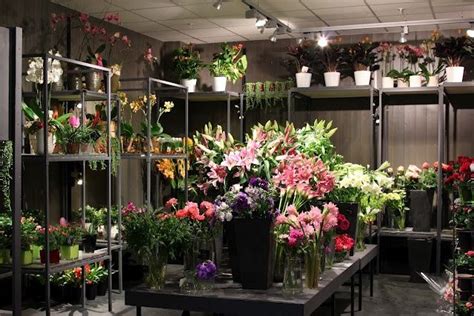 Shop Layout Florist Pinterest Flower Shop Display Flower Shop