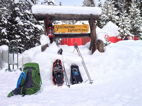 Exploring Yellowstones Winter Wonderland With Yellowstone Expeditions Yellowstone Trips