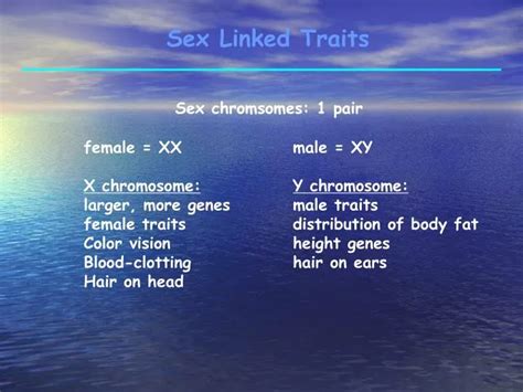 Ppt Sex Linked Traits Powerpoint Presentation Free Download Id3746169