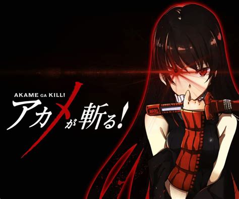 Wallpaper Gambar Anime Akame Ga Kill
