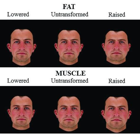 Average Masculinity Ratings For Faces Transformed With The Face Shape