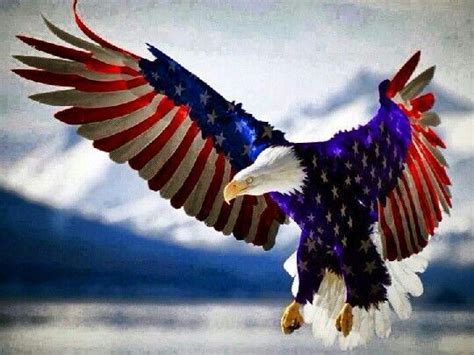 4th Of July American Eagle Bald Eagle American Flag Eagle Eagle