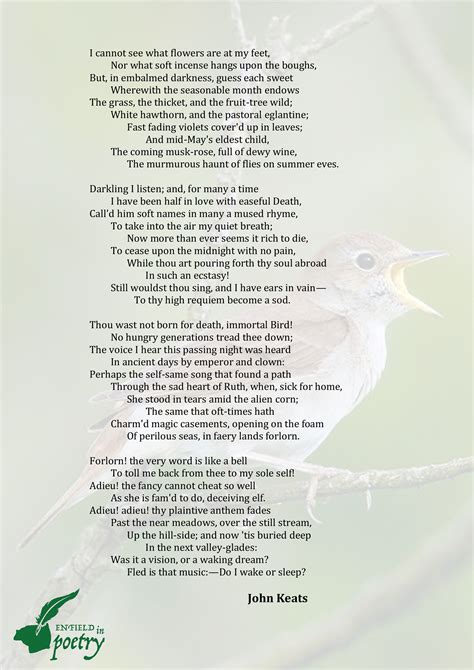 Ode To A Nightingale By John Keats Page 2 Enfield In Poetry