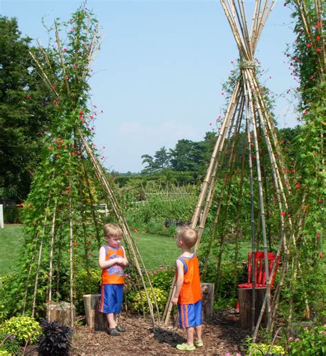 Kids Gardening Build A Bean Teepee Thyme To Grow