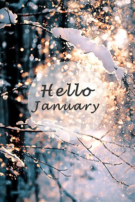 Pin By Alina Raluca On Hello January Hello January January Pictures