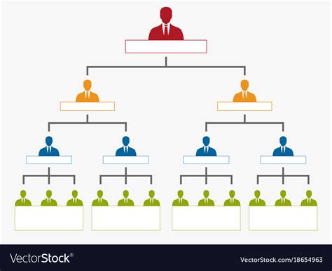 Hierarchy In Company Organization Chart Tree Vector Image