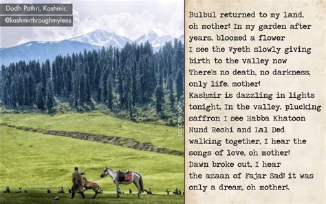 This Kashmiri Expresses His Anguish On Instagram Through Powerful Poems