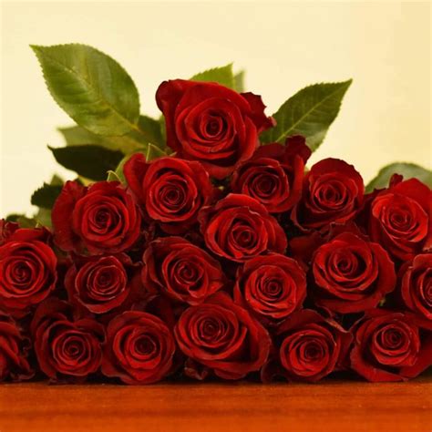 Finally Red Roses 100 Stems J R Roses Wholesale Flowers