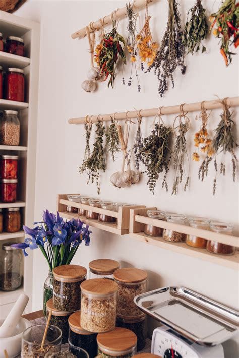 10 Best Healing Herbs For Your Home Herbal Apothecary