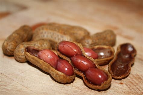 If you're looking for a simple recipe to simplify your weeknight, you've. The Food Gospel According to Ruth: Cajun Boiled Peanuts ...