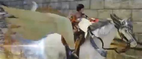 Nene Rides On An Beautiful White Pegasus Warriors Orochi Photo