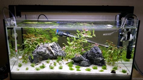 Aqualantis Flowgrow Aquascape Aquarium Database