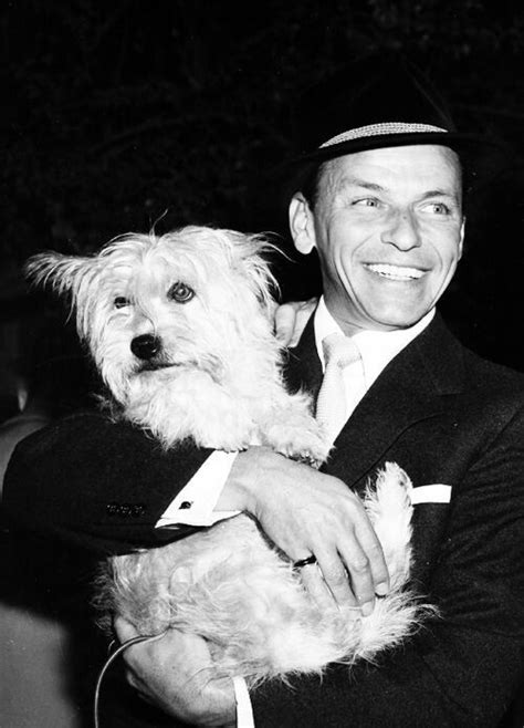 Frank Sinatra And Snuffy Frank Sinatra Nancy Sinatra Hollywood Stars