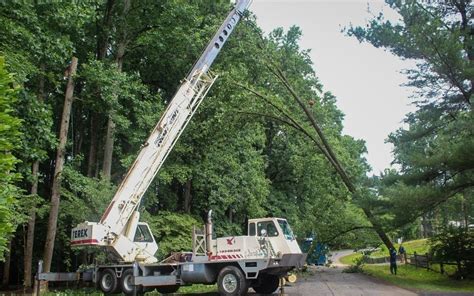 Why We Use A Crane For Tree Removal And How It Benefits You Riverbend