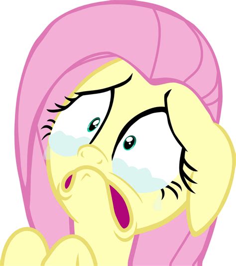 Fluttershy Is Going To Cry By Mighty355