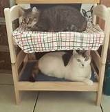 Pictures of Cat Beds With Covers