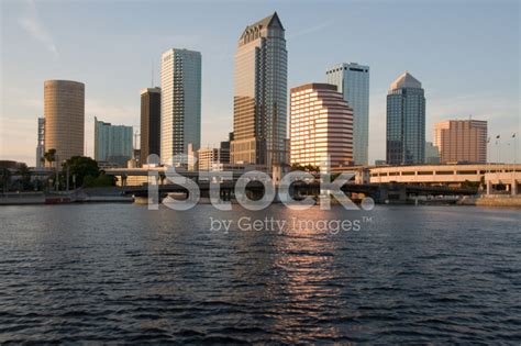 Foto De Stock Ciudad De Tampa Florida Libre De Derechos Freeimages