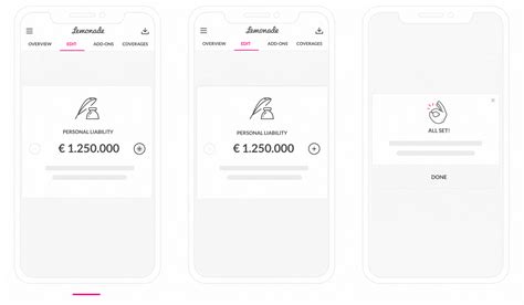Liability Insurance Netherlands in Plain English - Lemonade