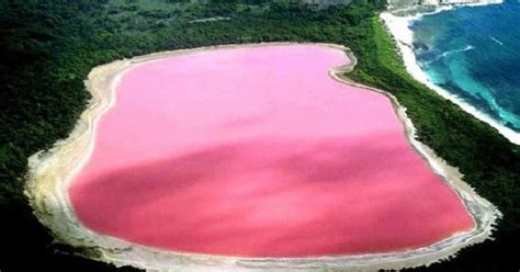 Lake Hillier Australia The Pink Lake Amazing World Reality Most