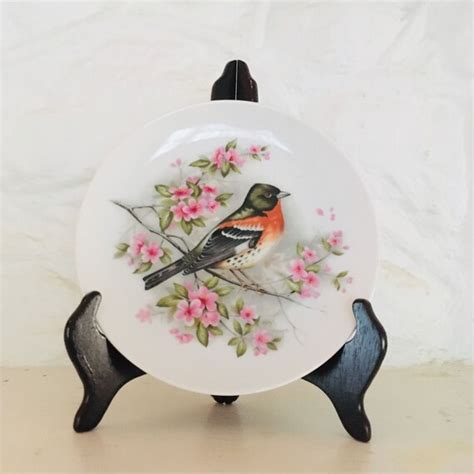 Porcelain Kaiser Bird Plate Bird And Pink Flower Plate Etsy