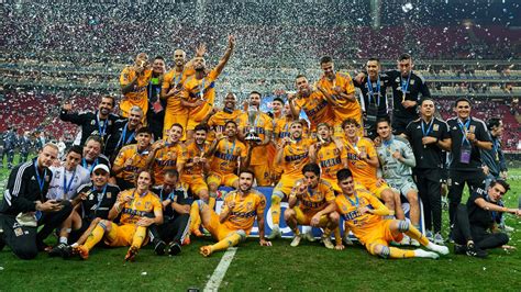 Tigres Se Proclamaron Campeones La Prensa De Colorado