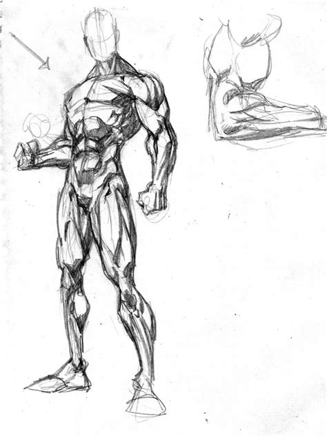 Anatomy By Fpeniche On DeviantArt Human Anatomy Drawing Human Figure Drawing Figure Sketching