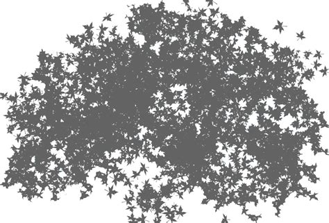 Tree With Shadow Top View Png