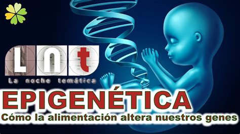 Epigenética Cómo La Alimentación Altera Nuestros Genes Youtube