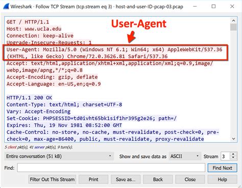 agent wireshark user windows host line using chrome users hosts x64 figure google operating microsoft