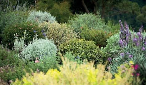 Sensory Garden Special Haven For Your Senses