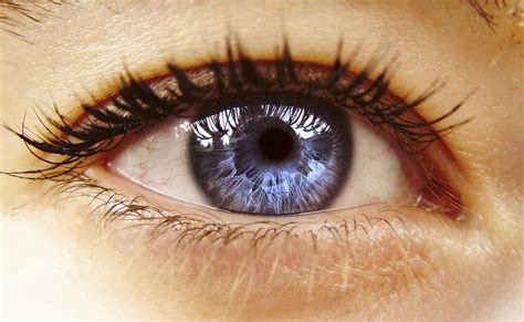 Bist Du Vertrauenswürdig Die Pupillenweite Als Unbewusstes Signal Für