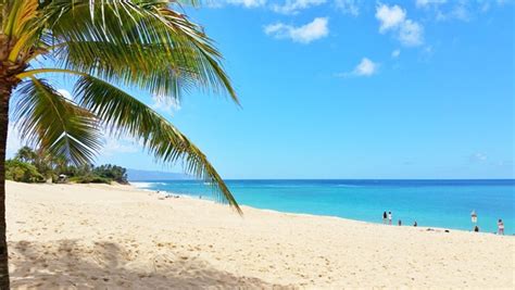 North Shore Beaches Map List Best Beaches On The North Shore