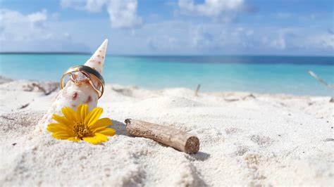 Maybe you would like to learn more about one of these? Beach Background Pictures (65+ pictures)