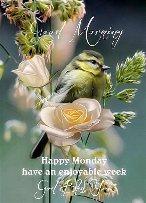 Happy Monday Good Morning Have An Enjoyable Week Pictures Photos