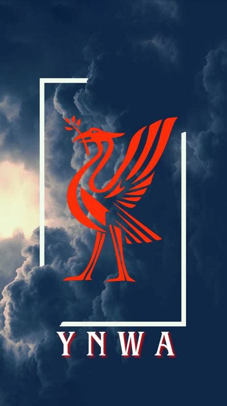 Liverpool ynwa Wallpapers - Free by ZEDGE™