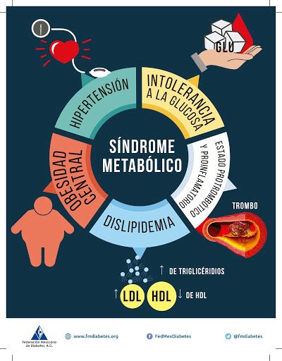 S Ndrome Metab Lico Hipertensi N Sobrepeso Dislipemia Y Pre Diabetes