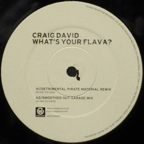 Whats Your Flava By Craig David Single Wildstar 12wild43gp