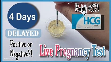 Live Pregnancy Test 4 Days Delayed Youtube