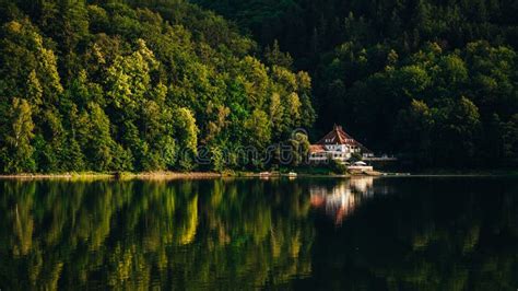 Glorious Landscape Of A Lakehouse In A Thick Forest Reflecting In The