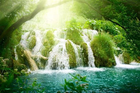 Flowers Rays Waterfall Trees Vegetation The Sun Lazur River Forest
