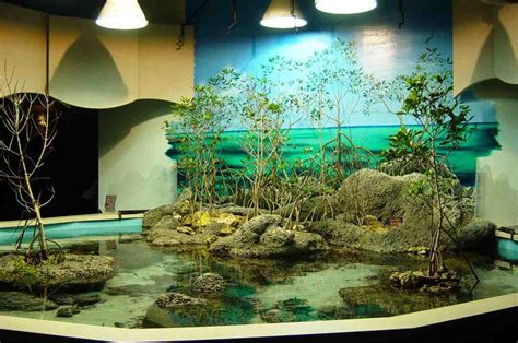 Jul 16, 2021 · one of the most inexpensive bedroom decor ideas that you can try in it is by painting your walls. Aquarium Decor: 5 Popular Styles for Fish Tanks - Decor ...