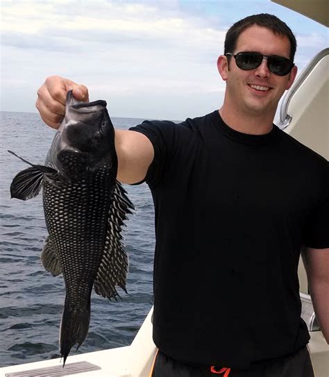 new jersey sea bass - Charter Fishing NJ